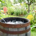 gathering rain water for the garden