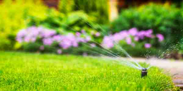 sprinkler system with flowers