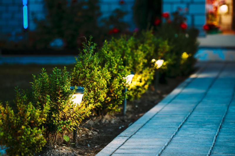 landscape lighting in srubs along a walkway