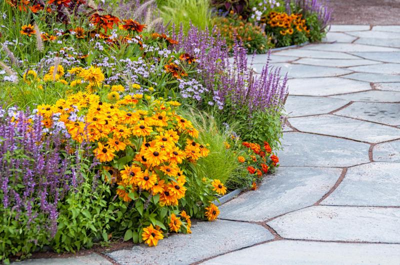 colorful flowers in a flower bed along a stone patio