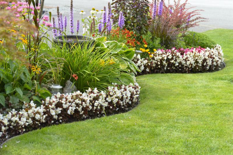 colorful flowers in a flower bed next to green grass