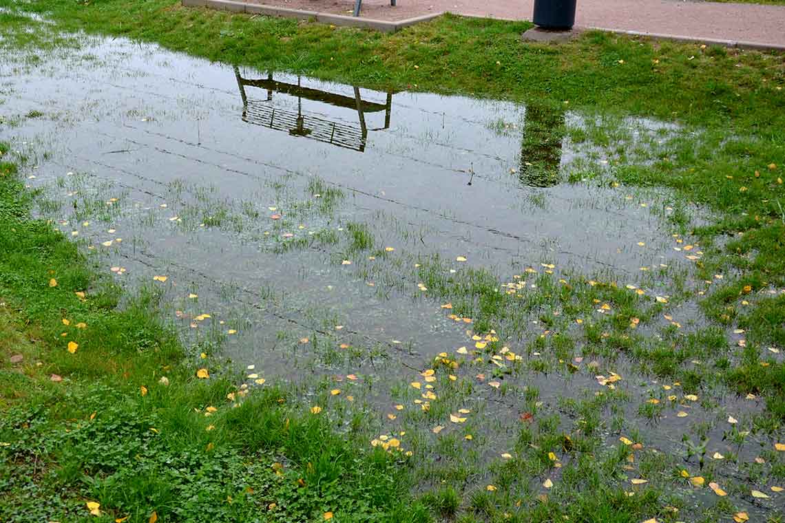 yard filled with water