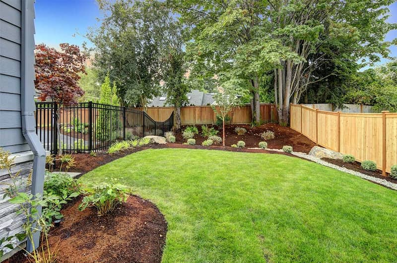 backyard residence landscaping