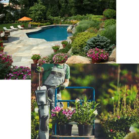 dual image of pool and landscaping