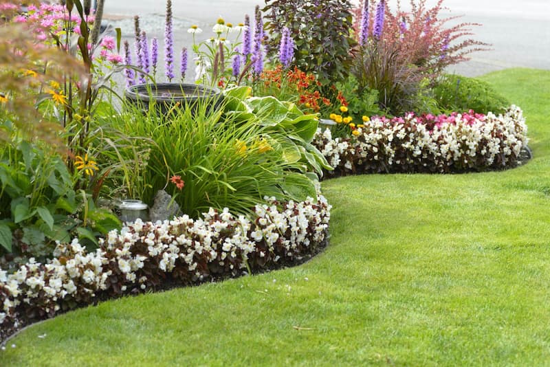 garden bed landscaping service