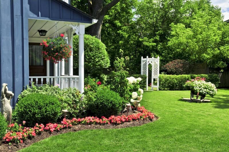 lawn services for a well-manicured landscape