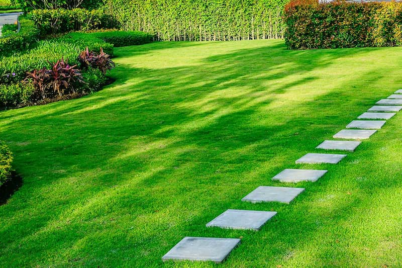 pennsylvania backyard lawn care