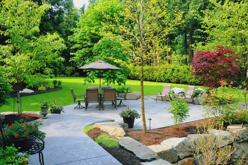 residential landscape image with patio and plants