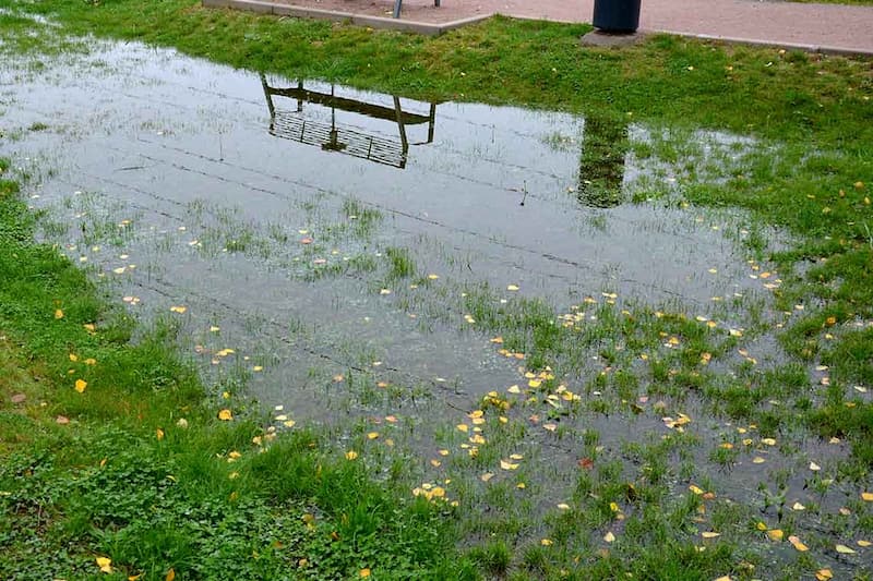 soggy-yard-with-poor-water-drainage soggy yard with poor water drainage