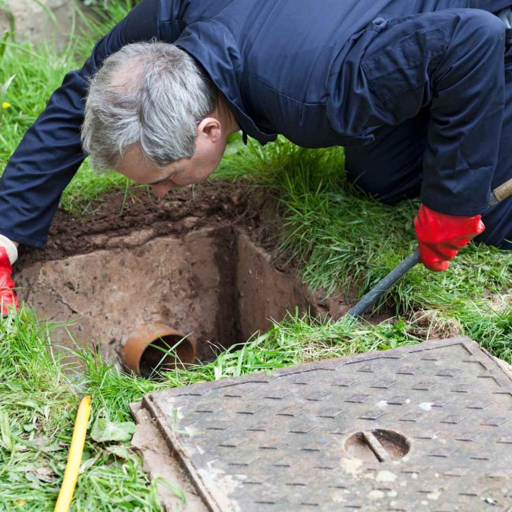The Five Most Popular Types of Yard Drains Impact Landscapes