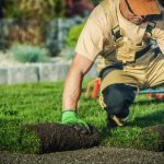 why should I hire a landscaper