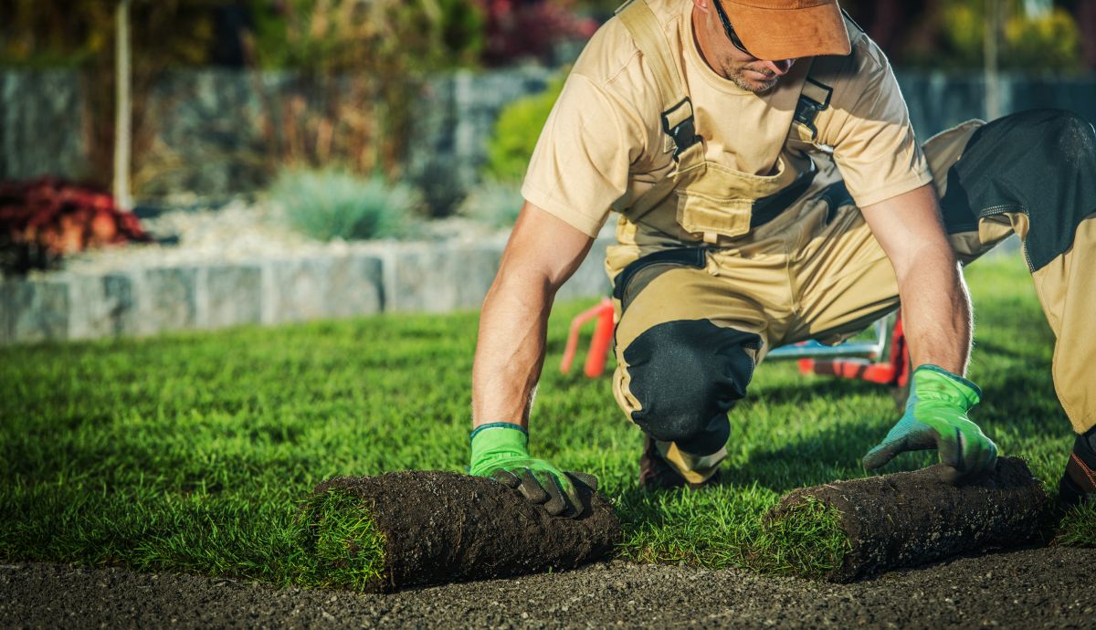 why should I hire a landscaper