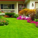 manicured lawn