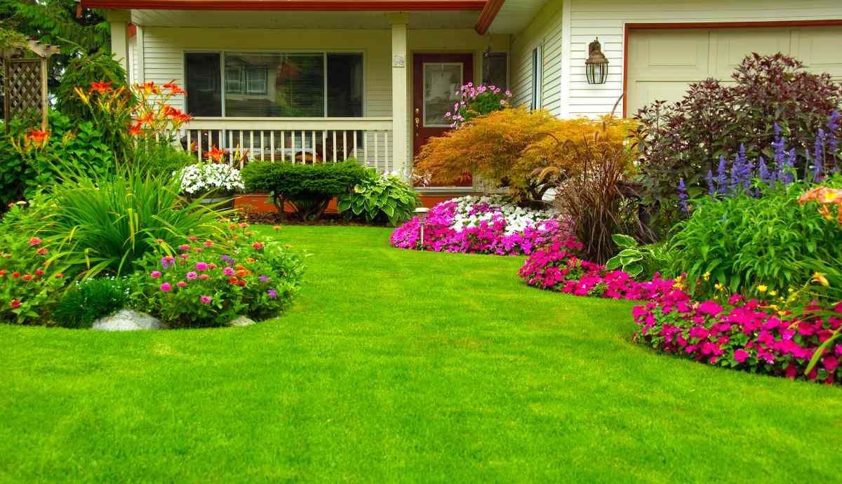 manicured lawn