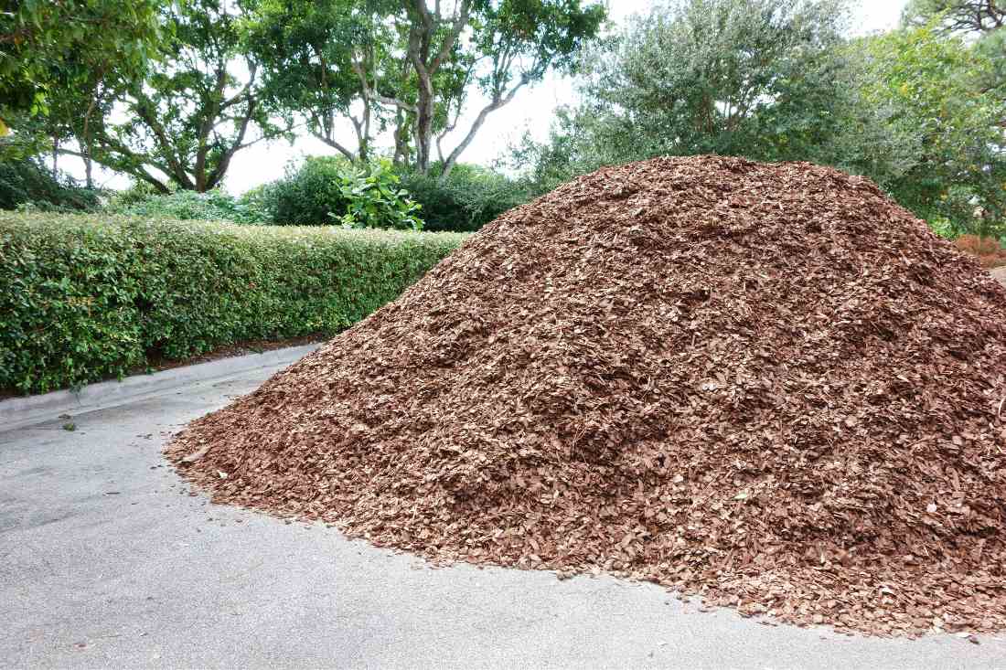 pile of brown mulch