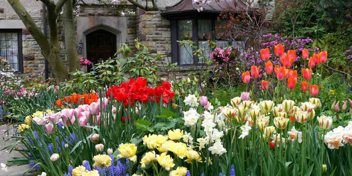 yard with flowers