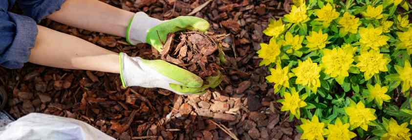 Fall Mulching