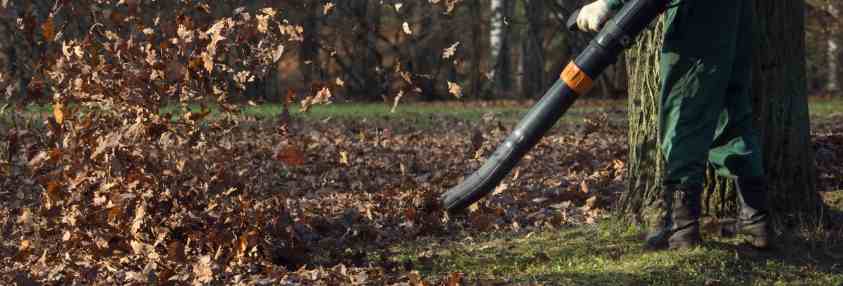 leaf removal