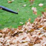 Leaf Blowing