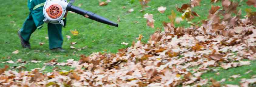 Leaf Blowing