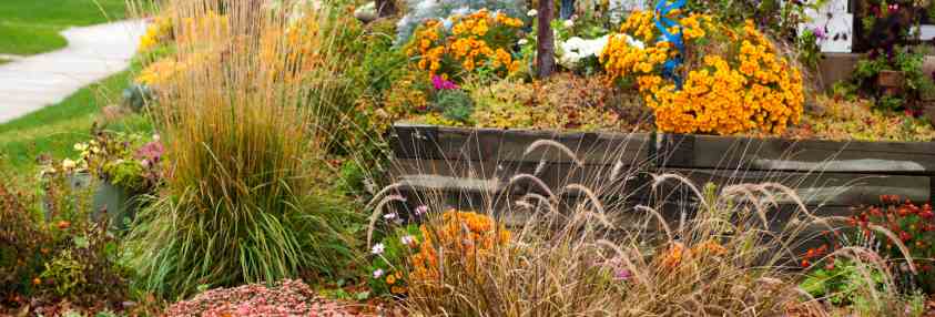 late fall landscaping