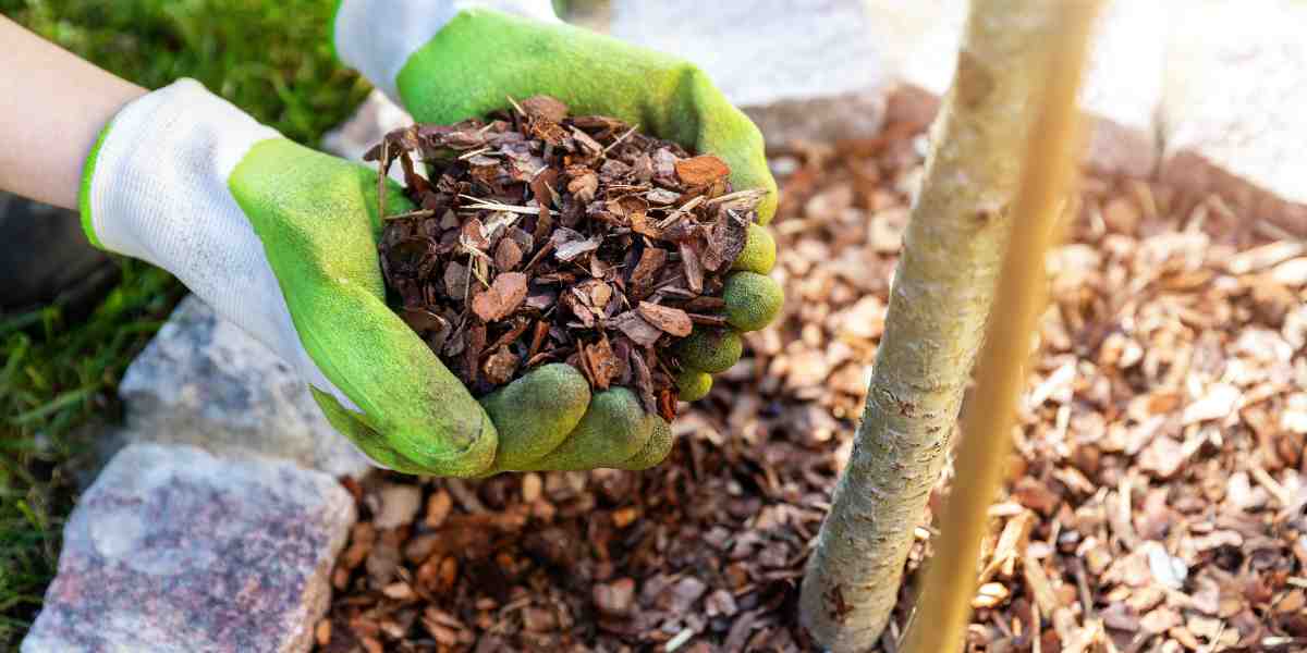 Spring mulching