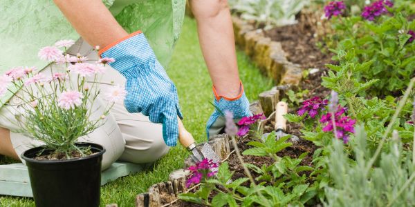 person gardening