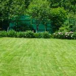 green manicured lawn